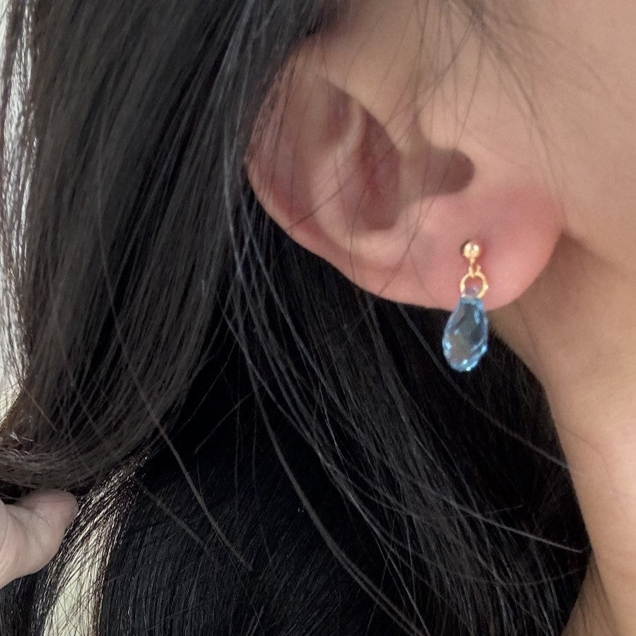 Hand-made Swarovski multicolor crystal earrings S925 silver needle